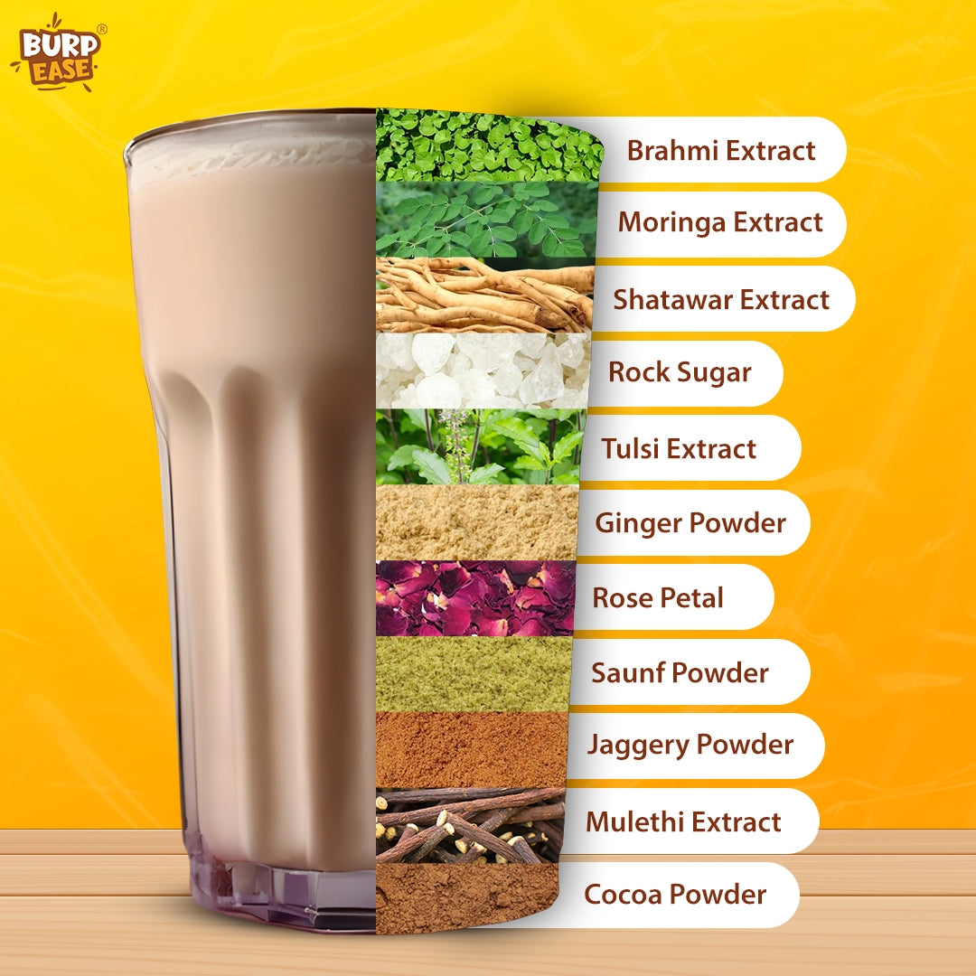 Ayurvedic Milk Mix (400 gm)