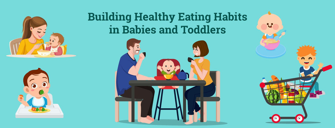 Building Healthy Eating Habits In Babies And  Toddlers - The Burpease