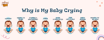 Understanding Your Baby’s Cries: What They Really Mean - The Burpease