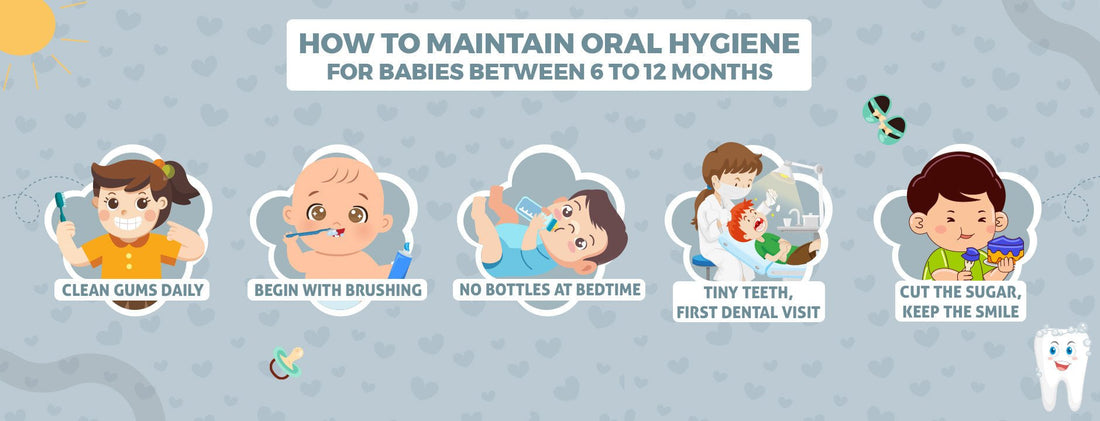 How To Maintain Oral Hygiene For Babies Between 6 to 12 Months - The Burpease