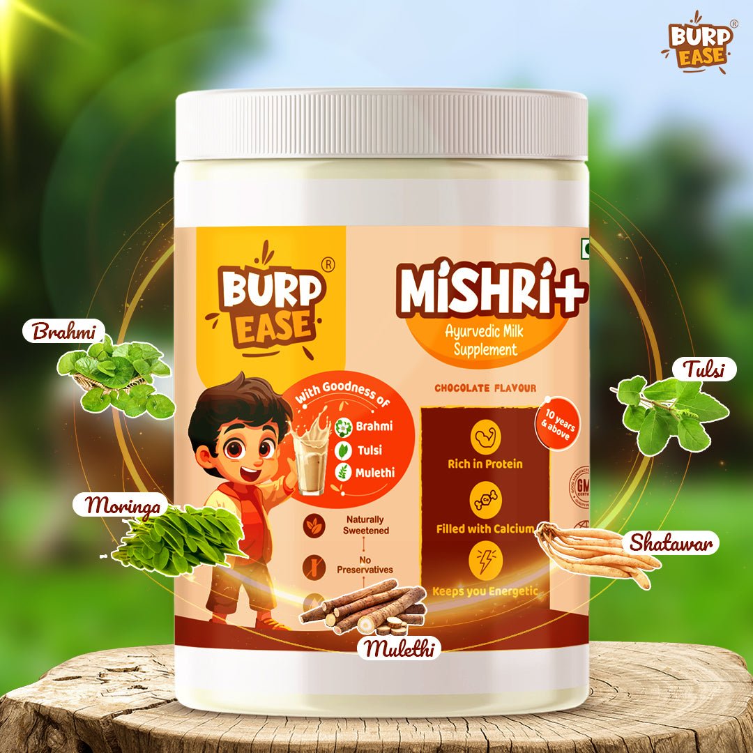 Ayurvedic Milk Mix (400 gm) - The Burpease